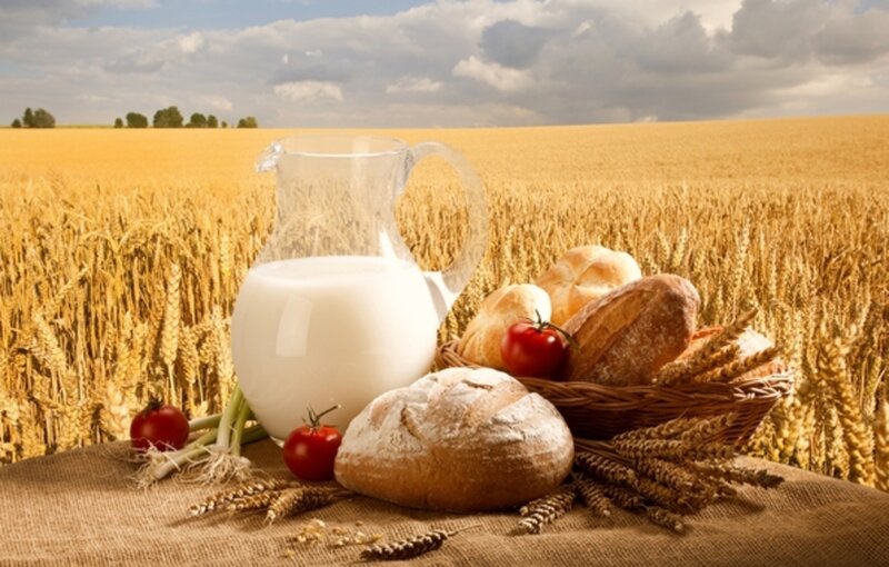 Bread and Milk in Field