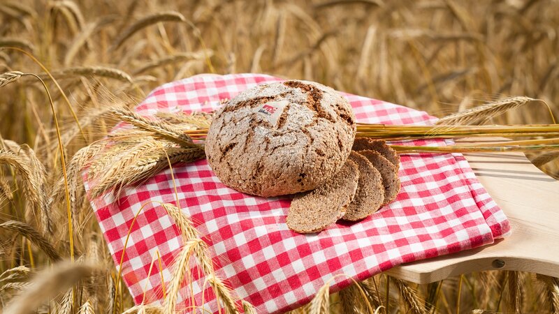 Bread in a wheat field