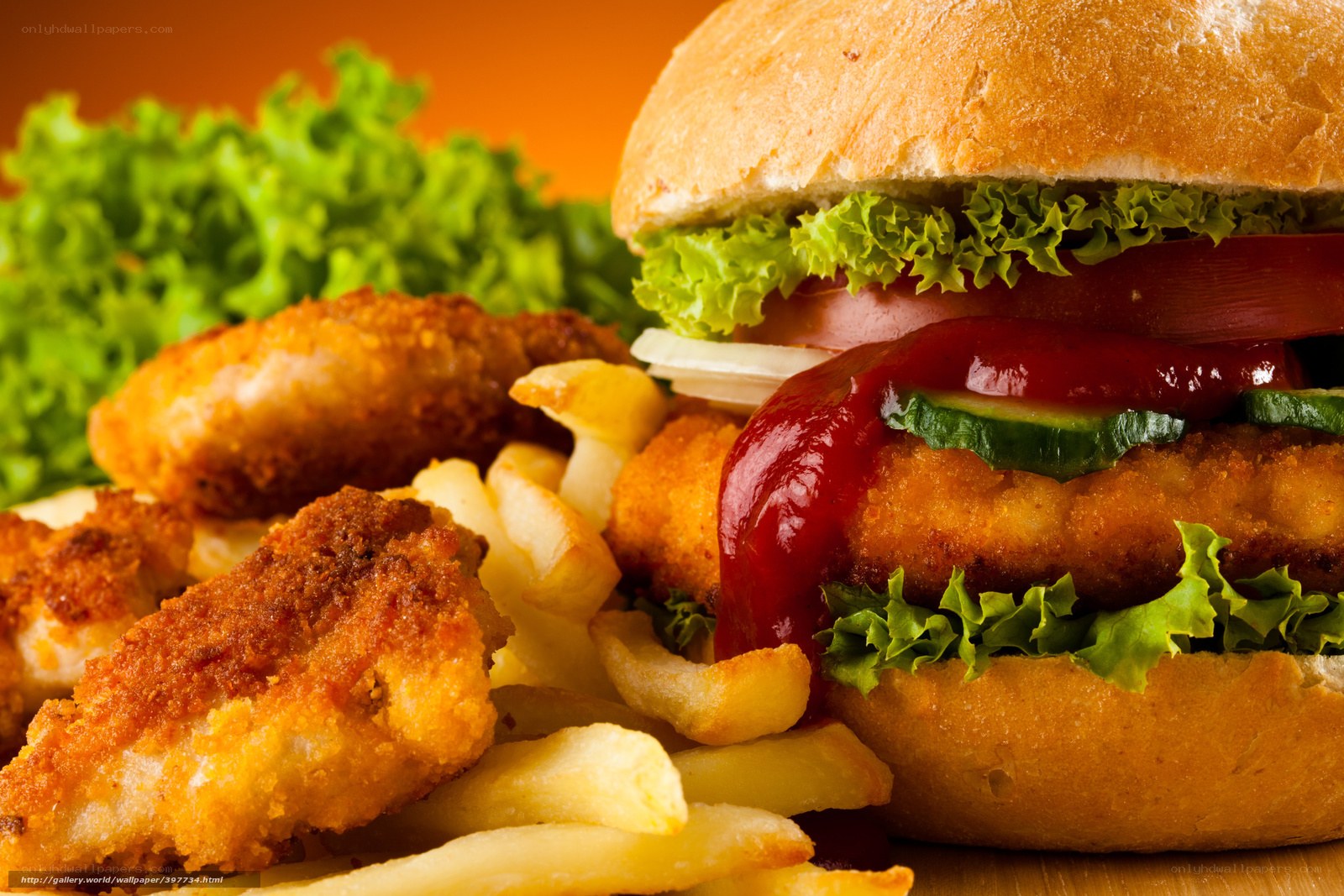 Breaded chicken burger with fries
