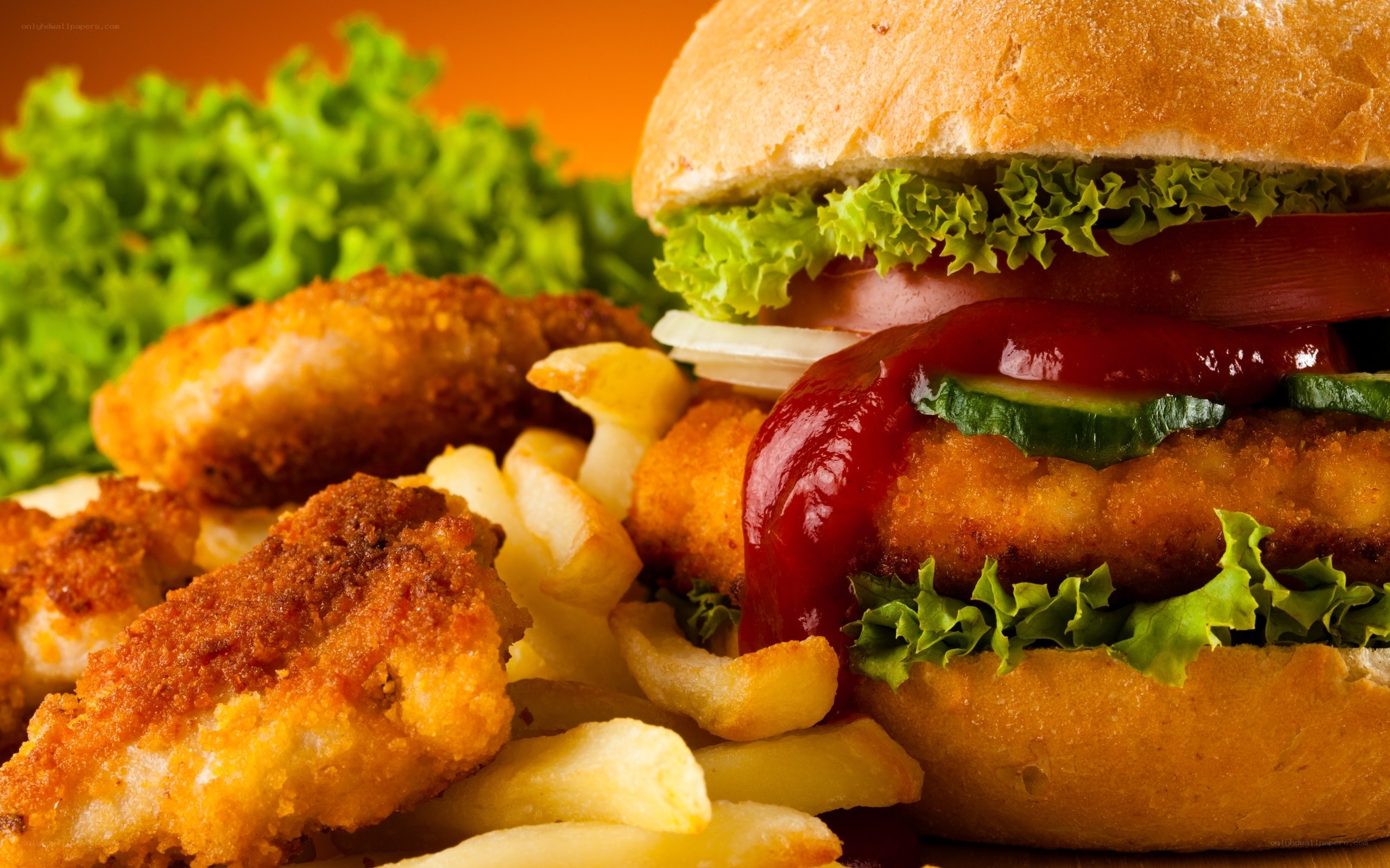 Breaded chicken burger with fries