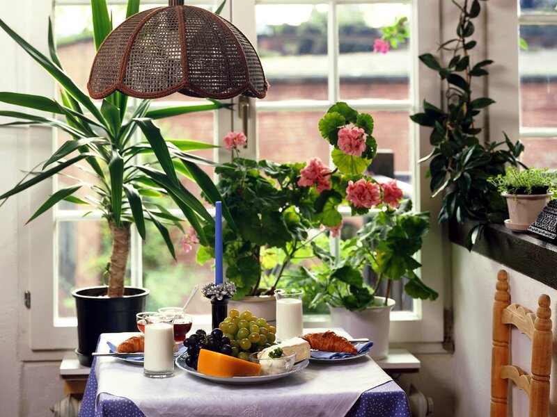 Breakfast by the window
