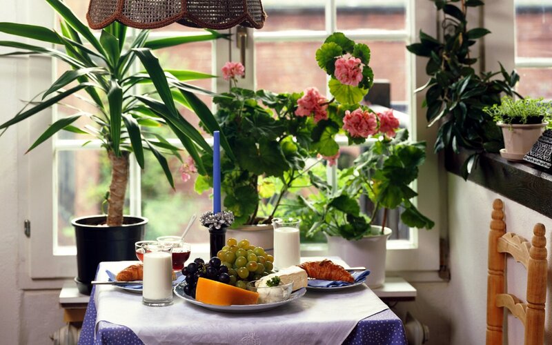 Breakfast on a Table — Green
