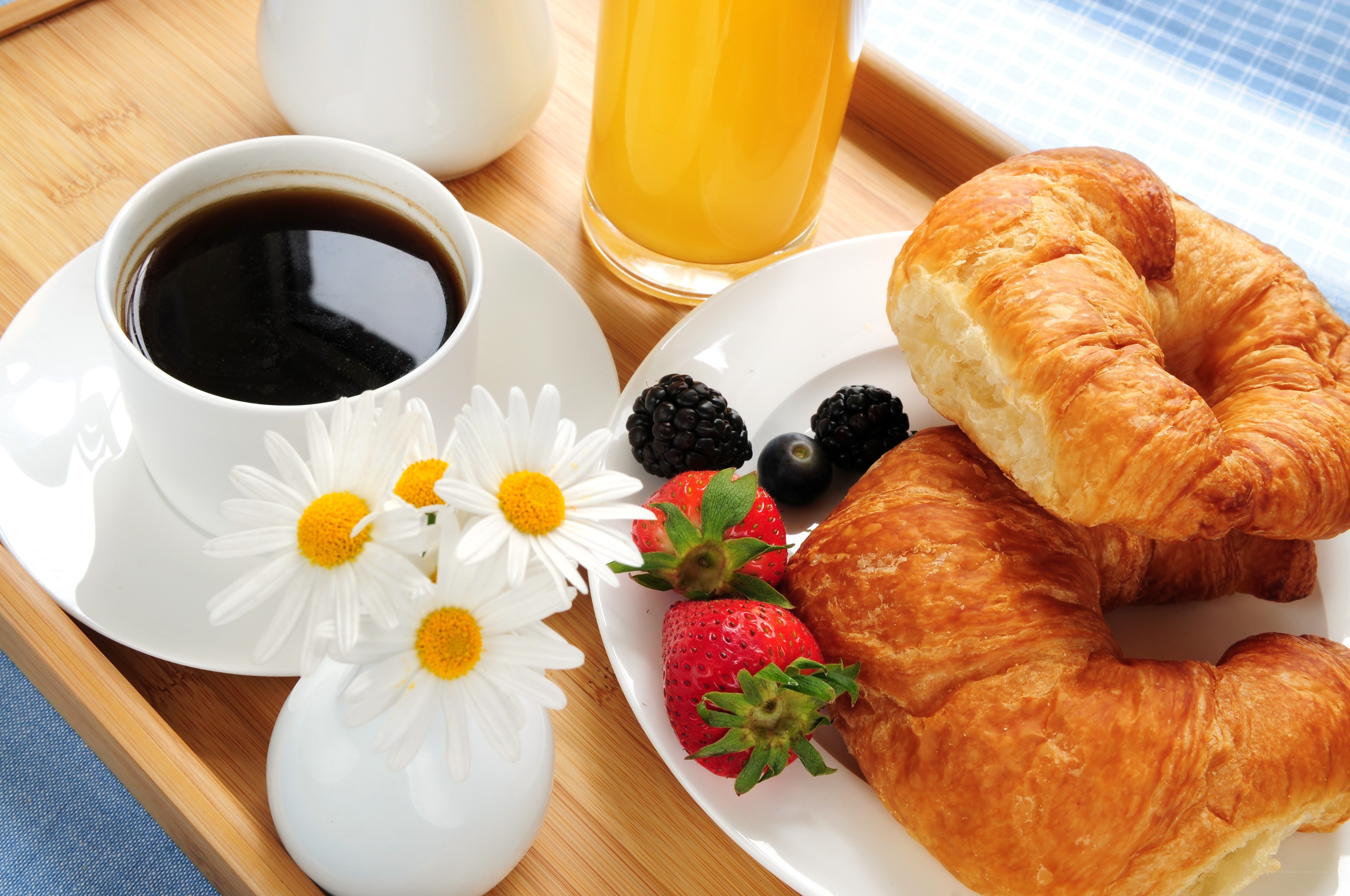 Breakfast tray with croissants