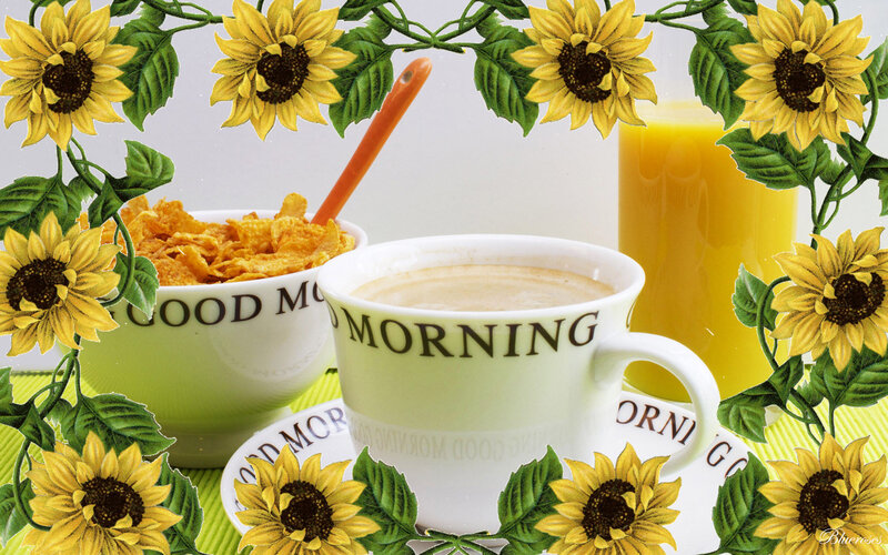 Breakfast with Sunflowers
