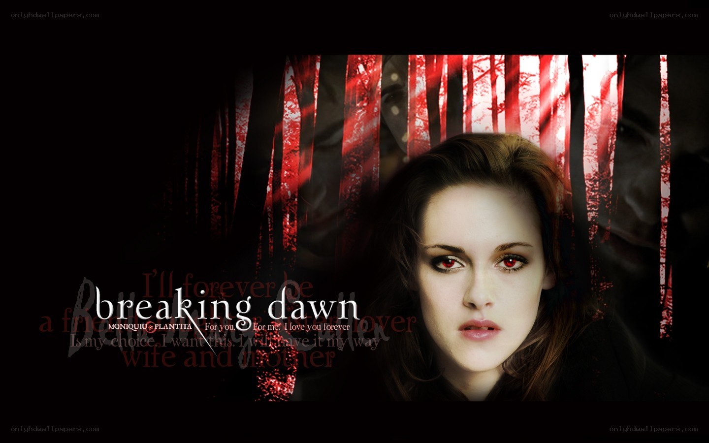 Breaking Dawn movie poster