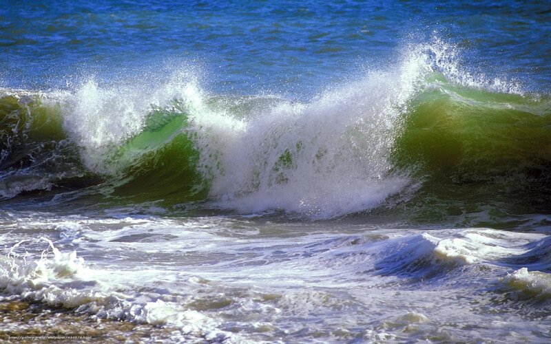 Breaking wave at the shore