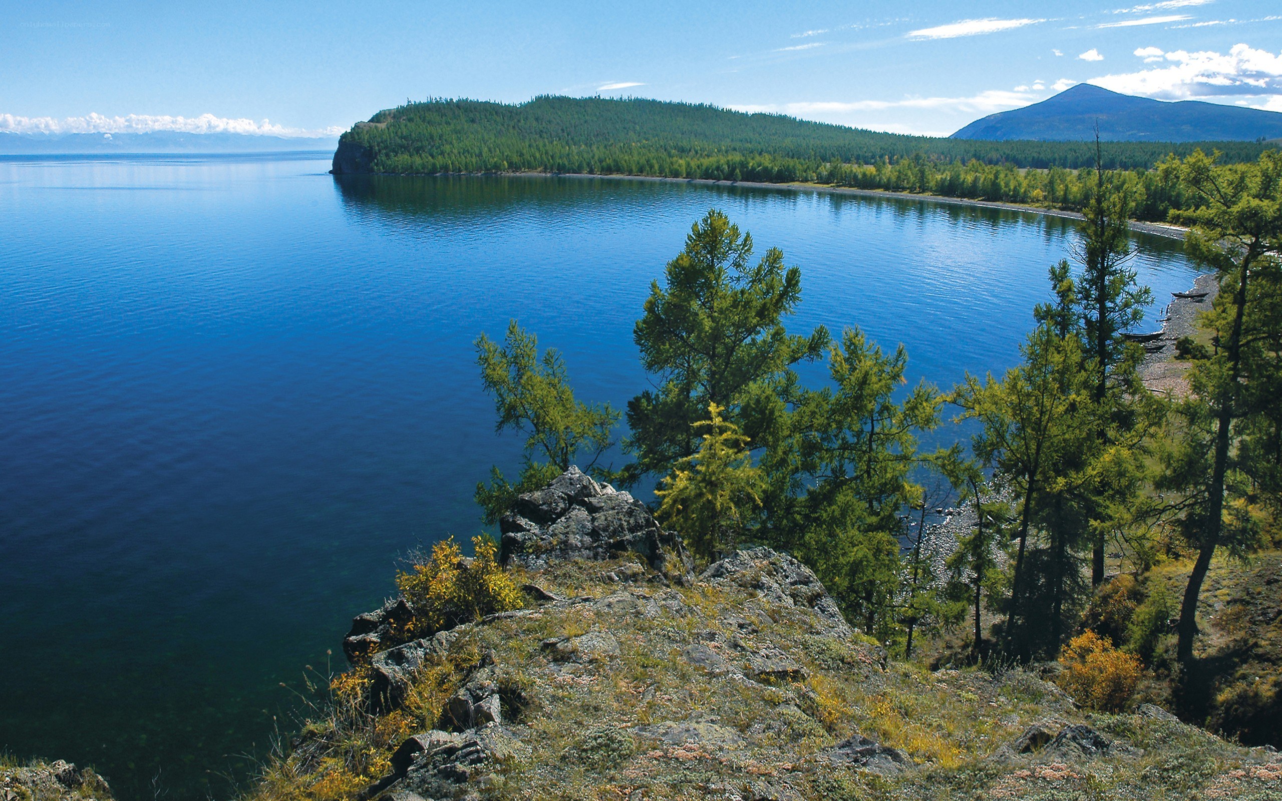 Breathtaking lake and forest view