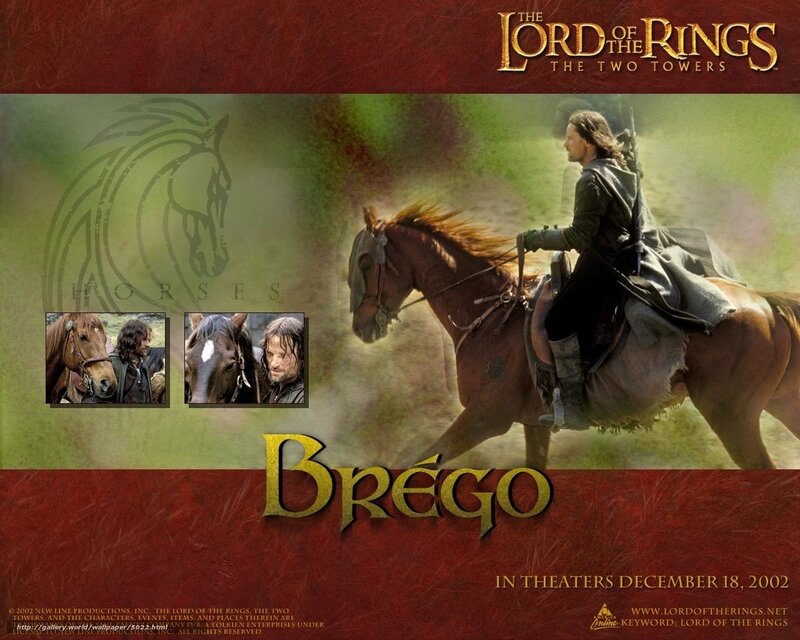 Brego from Lord of the Rings