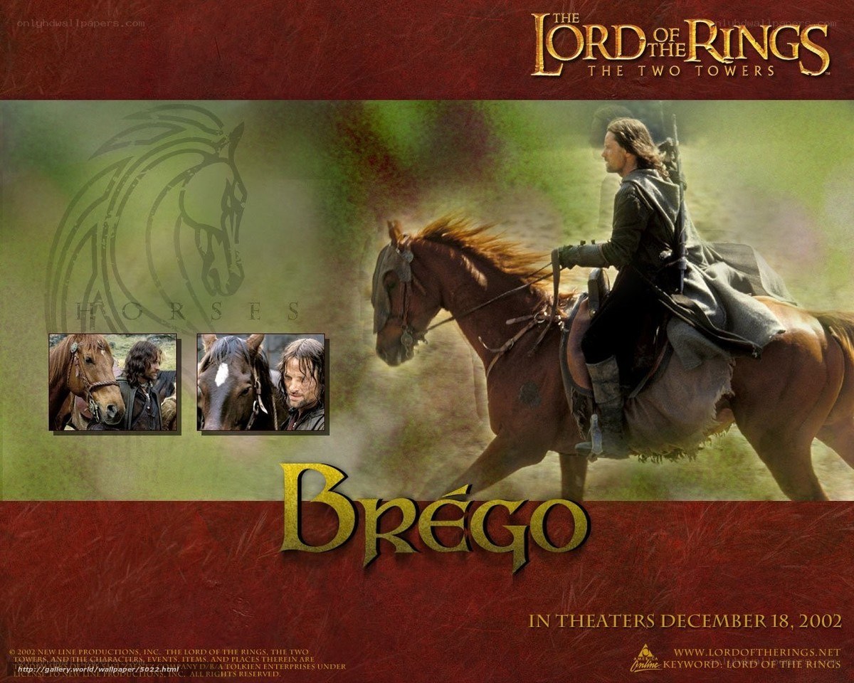 Brego from Lord of the Rings