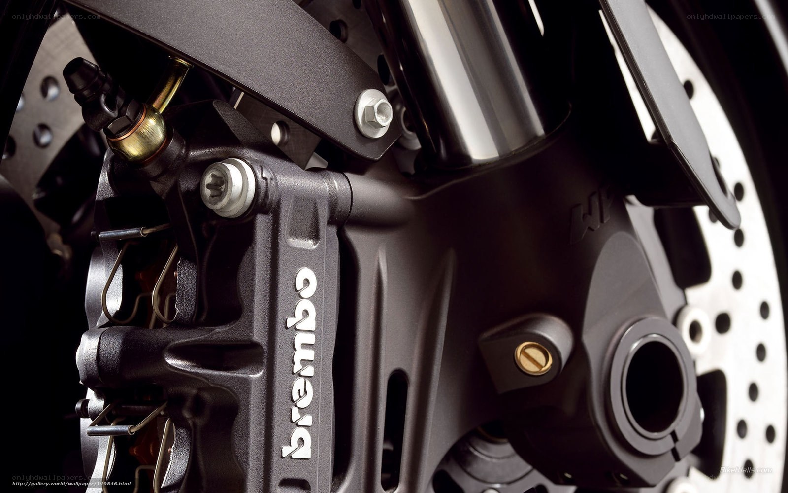 Brembo brake caliper close-up