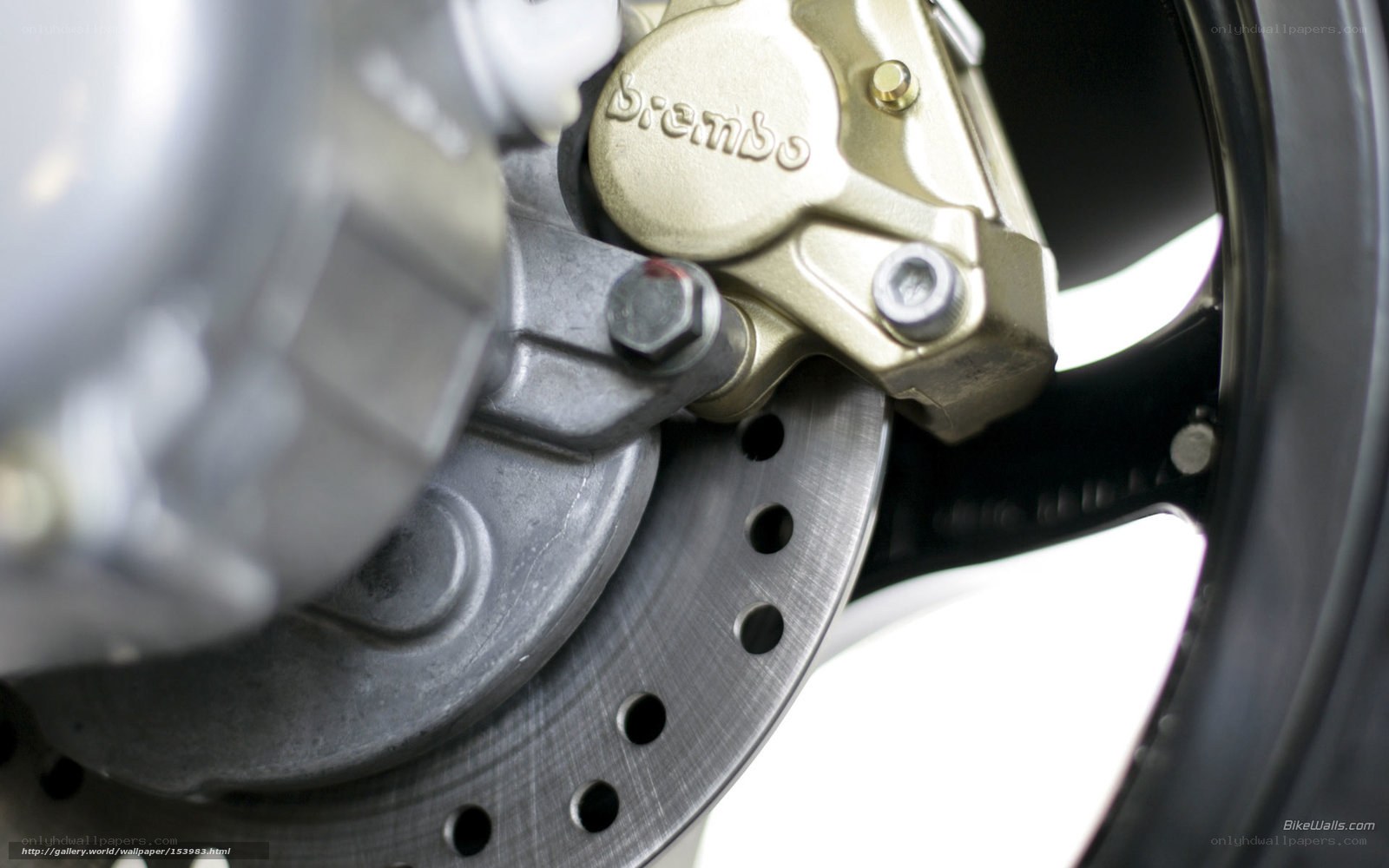 Brembo brake caliper on motorcycle