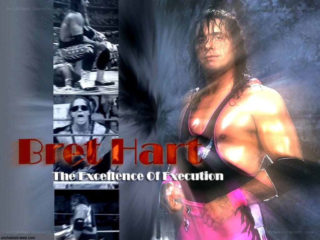 Bret Hart wrestling collage