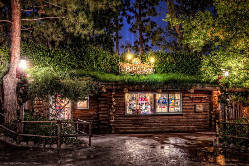 Briar Patch shop at night