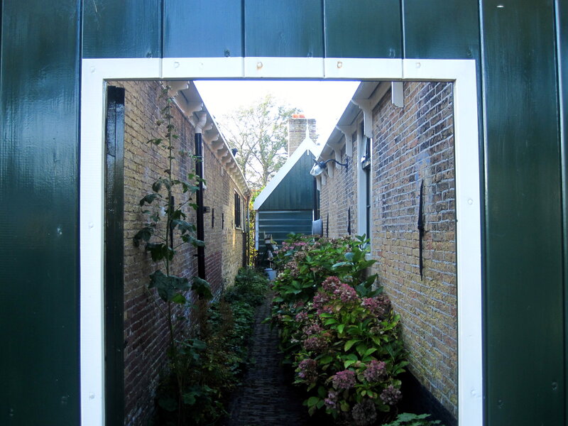 Brick Alley with Plants
