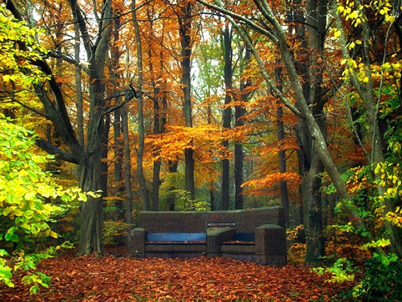 Brick Bench in Forest