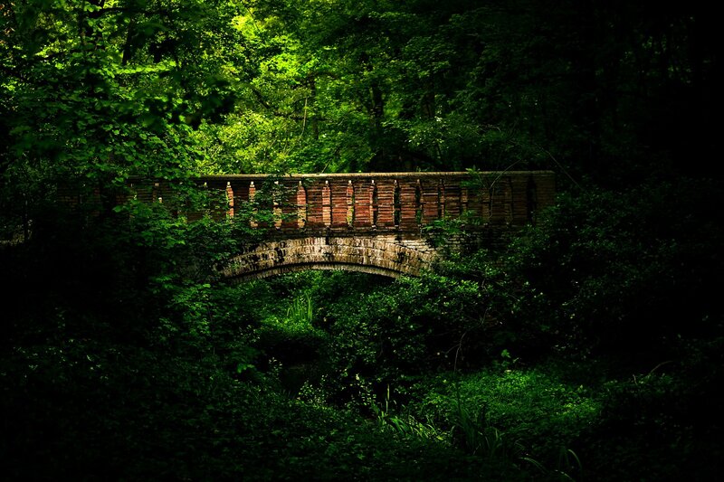 Brick Bridge in Forest — Green, Serene
