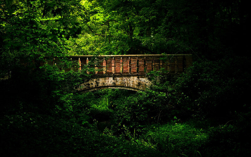 Brick Bridge in Forest — Green