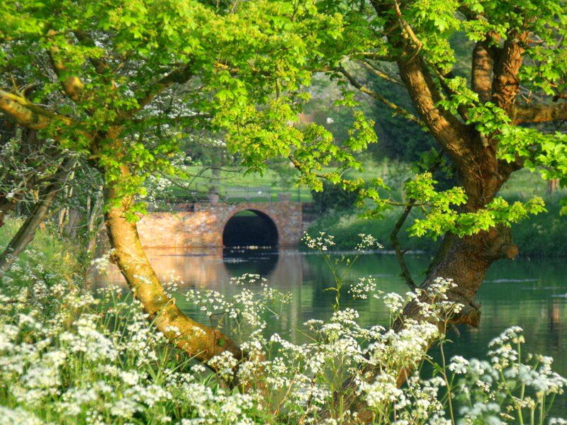 Brick Bridge over River — Green, Serene