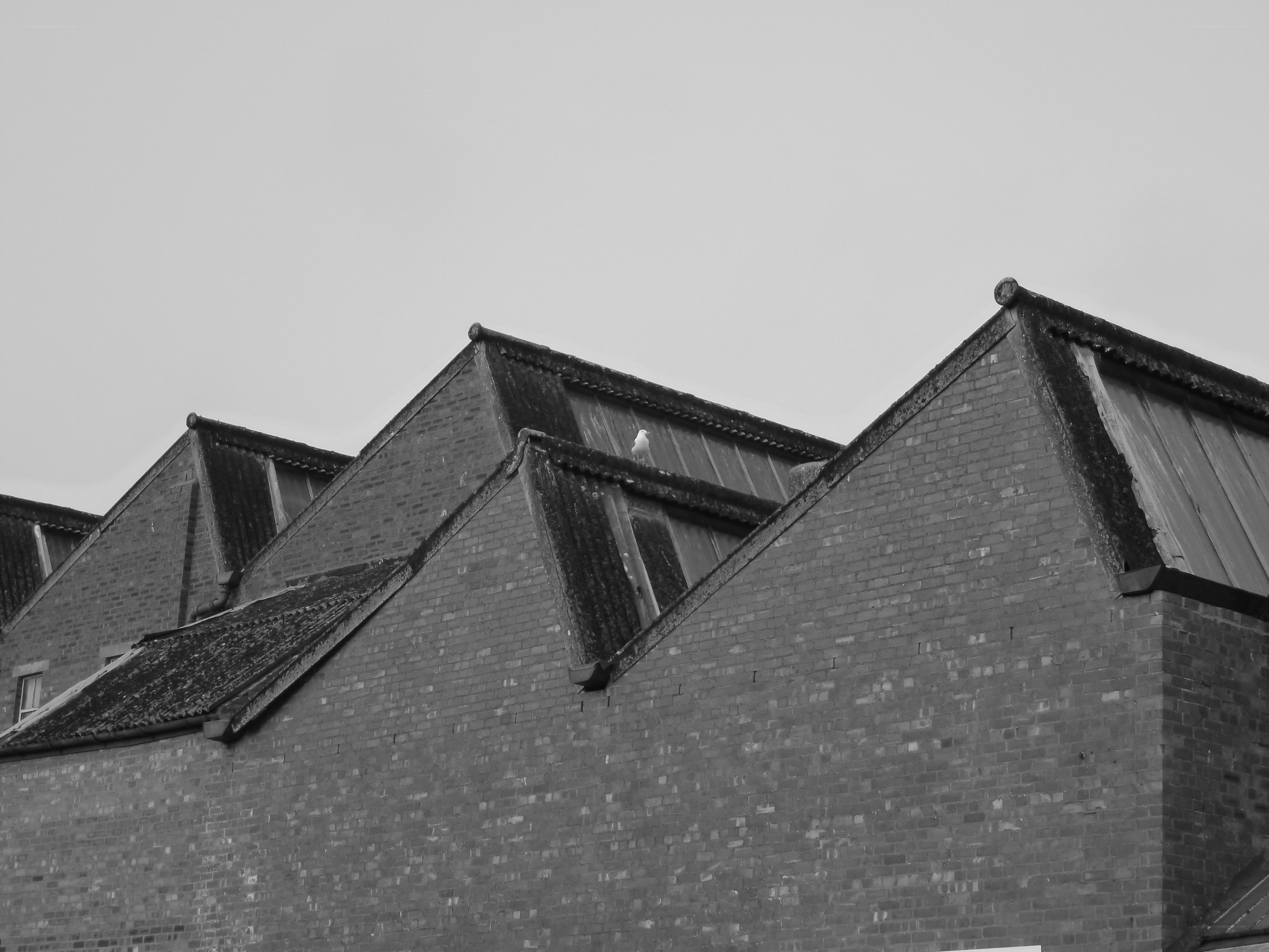Brick building with gabled roofs