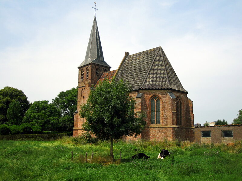 Brick Church with Cows