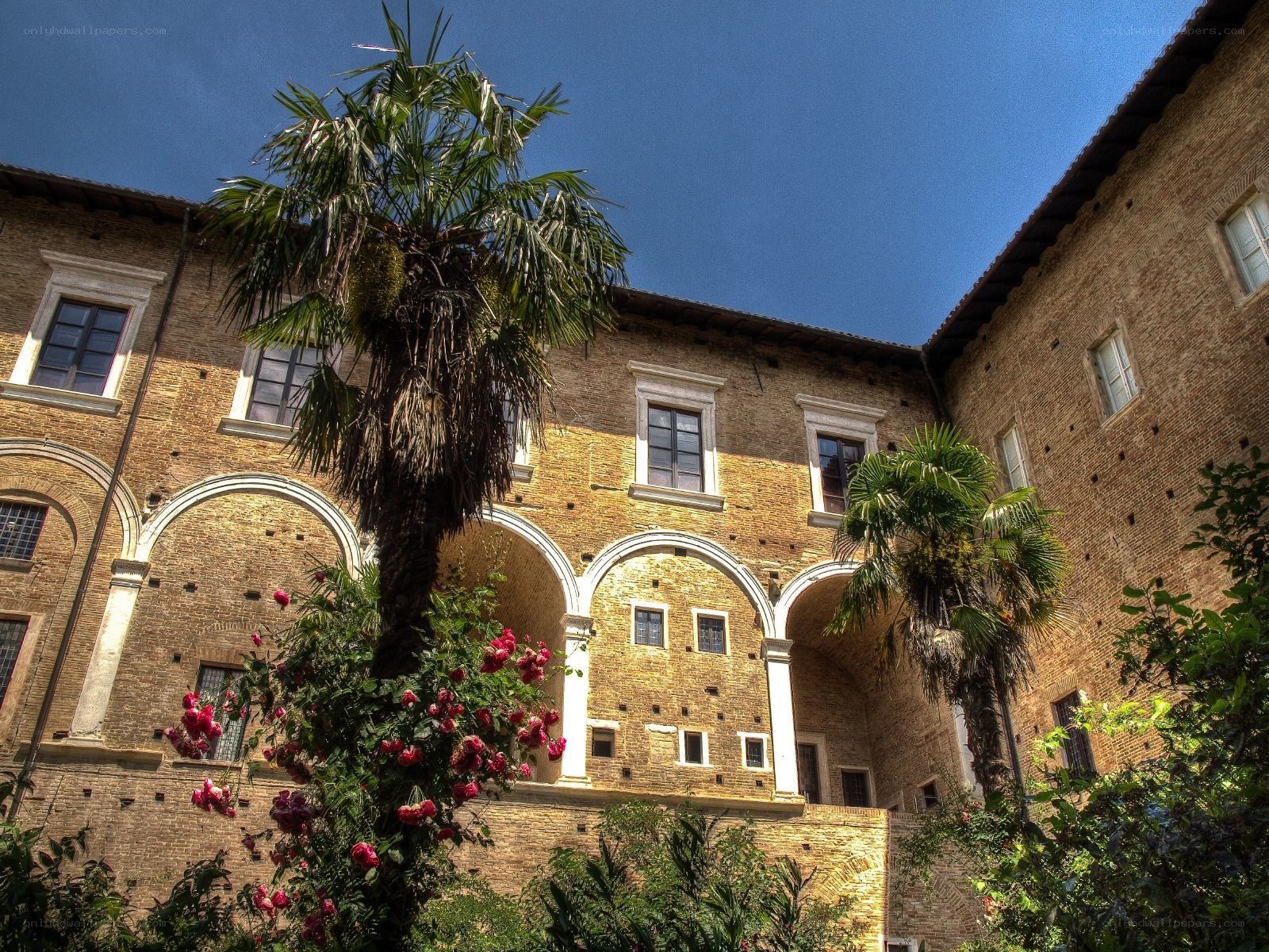 Brick courtyard with palm trees
