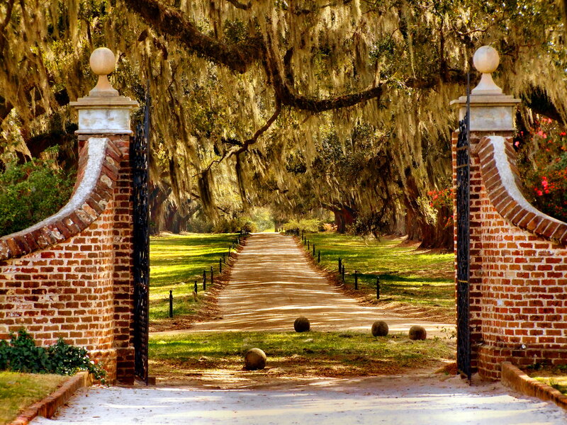 Brick Gate and Tree Tunnel