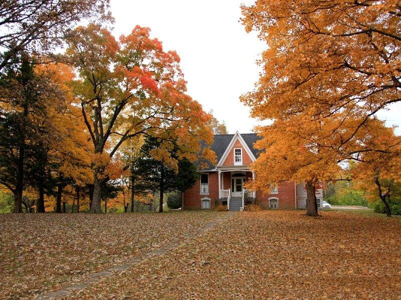Brick House in Autumn — Orange