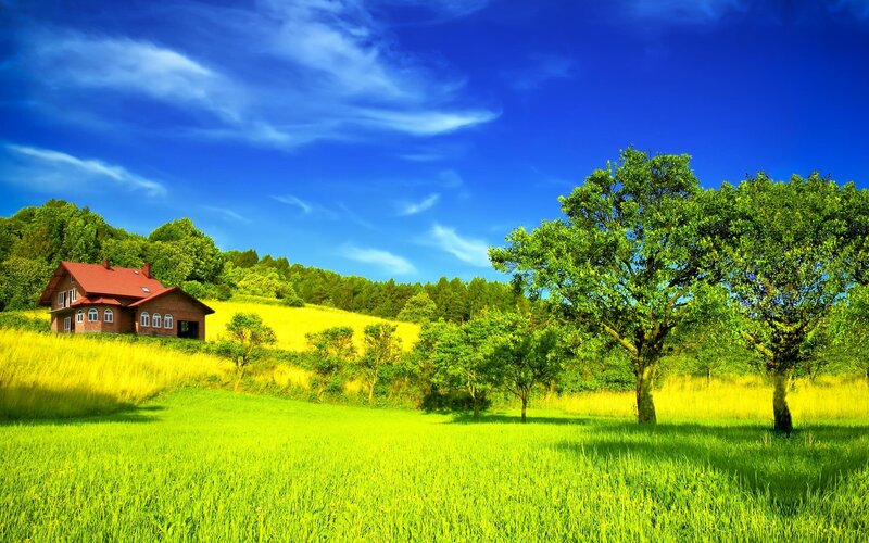 Brick House on Hillside