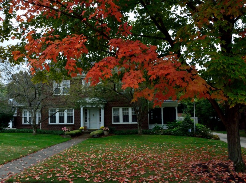 Brick House with Autumn Leaves