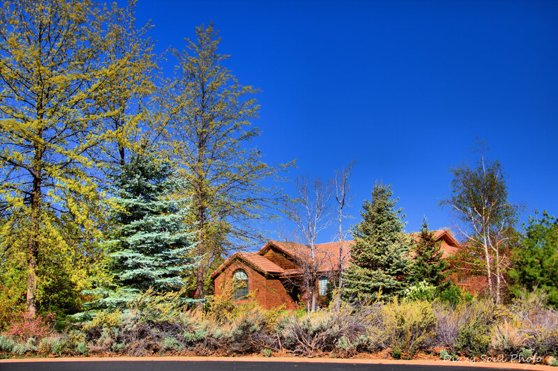 Brick House with Trees — Blue