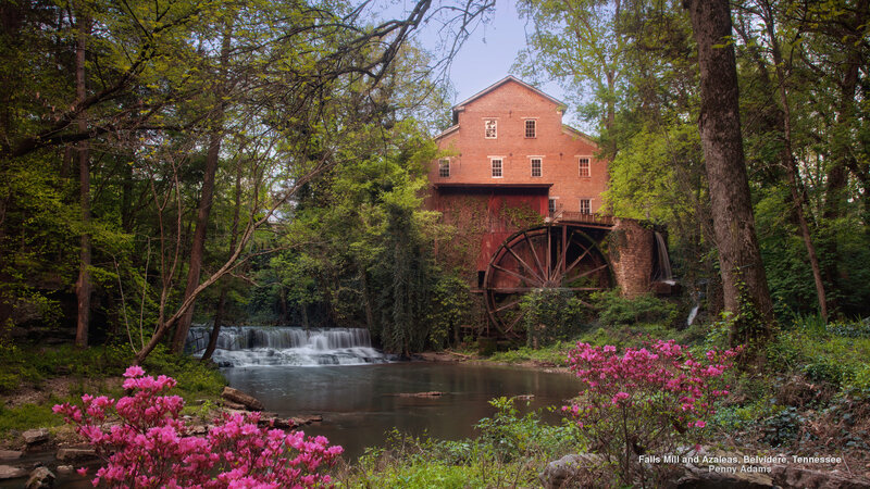 Brick Mill with Waterwheel — Green, Serene, Spring