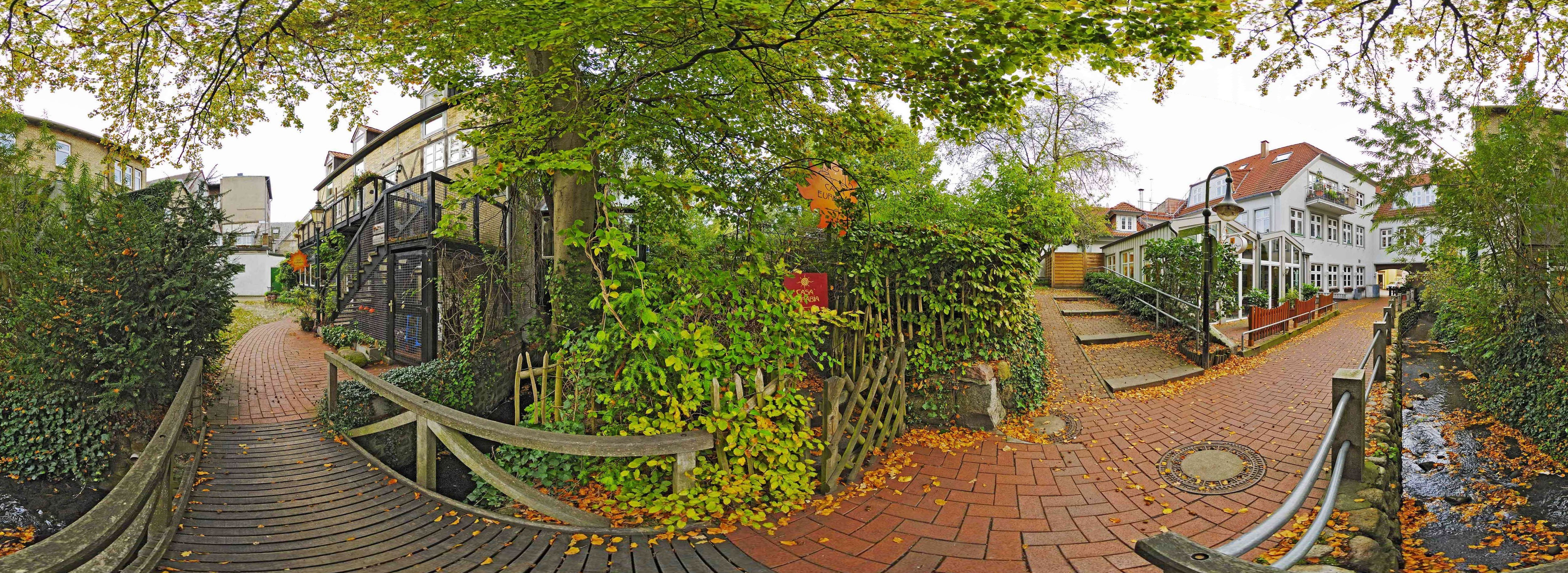 Brick path and greenery in a town