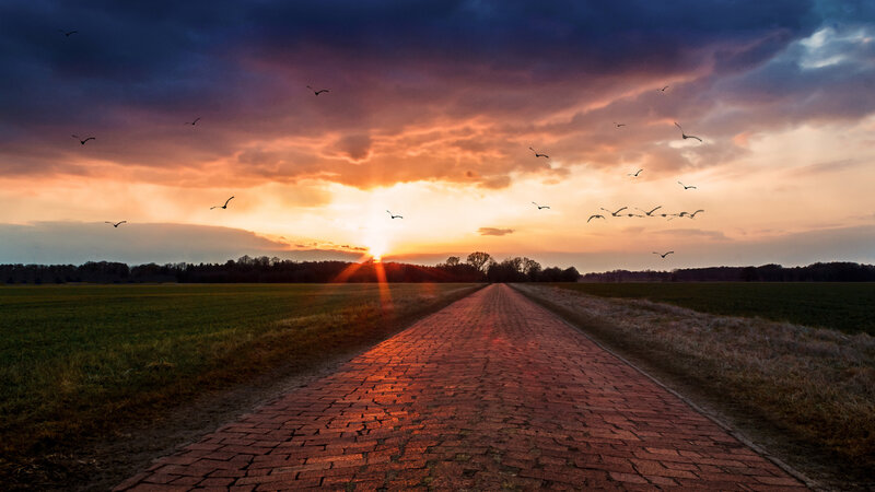 Brick Path at Sunset