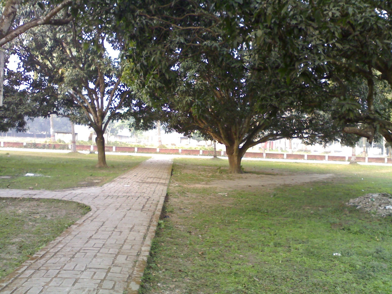 Brick path in a park