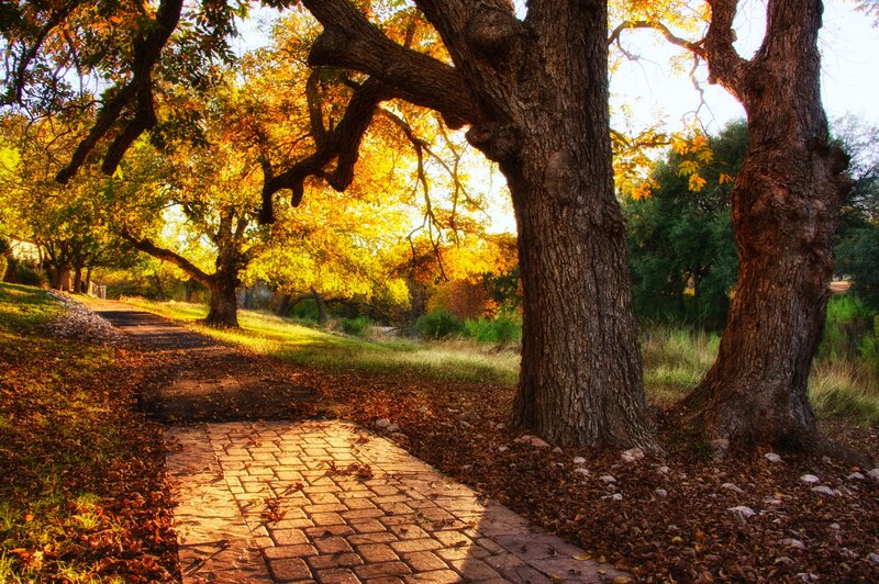 Brick Path in Autumn
