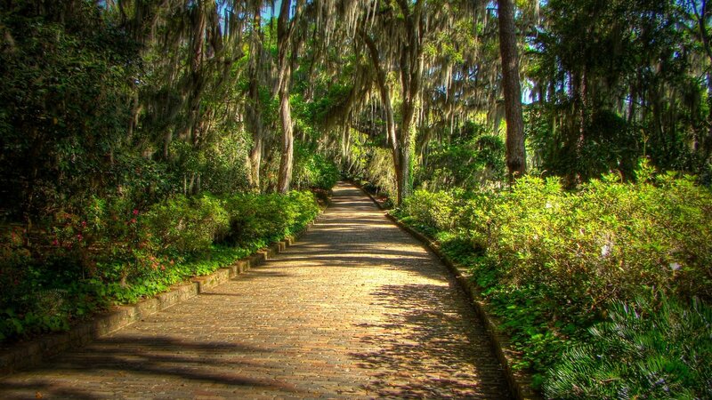 Brick Path in Forest — Green