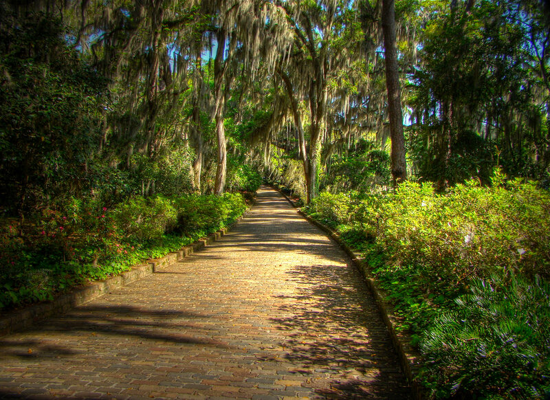Brick Path in Forest