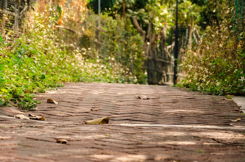 Brick Path in Garden — Brown