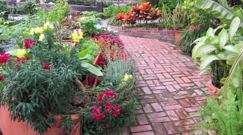 Brick Path in Garden — Green, Serene, Afternoon, Photograph, Potted Plants