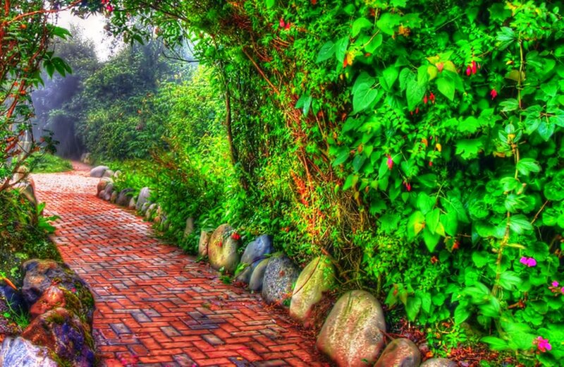 Brick Path in Garden — Green, Serene, Morning
