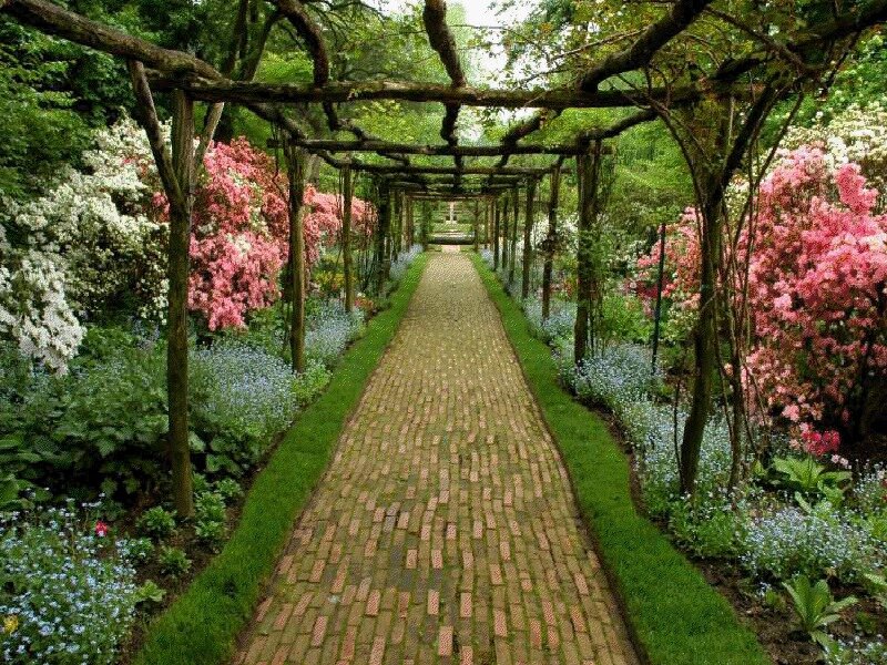 Brick Path in Garden — Green, Serene