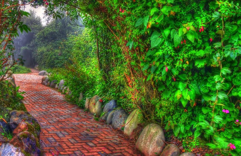 Brick Path in Garden — Green