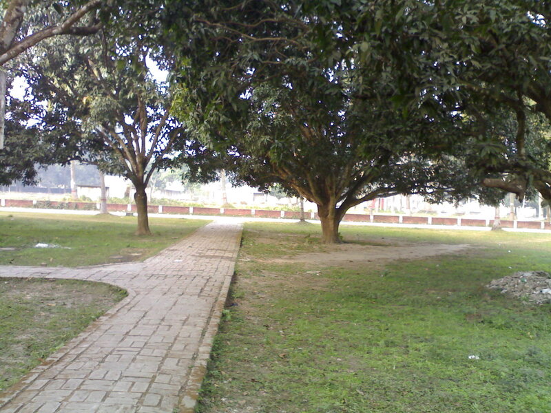 Brick Path in Park — Green, Calm