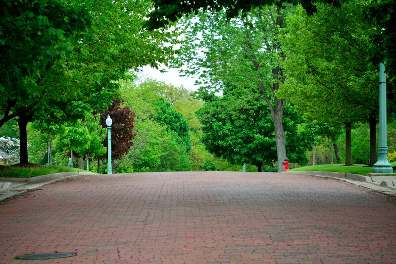 Brick Path in Park — Green, Serene, Summer