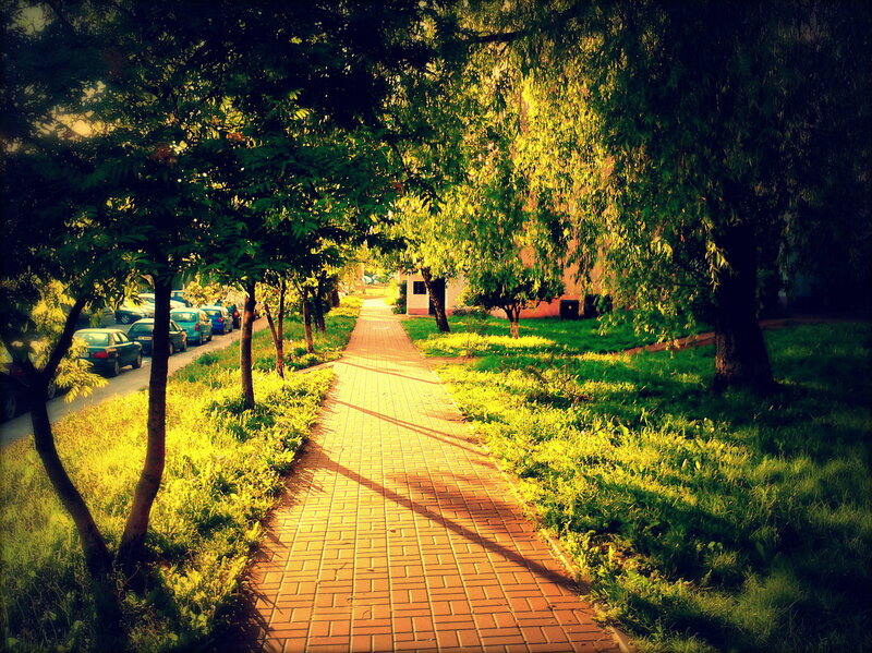 Brick Path in Park
