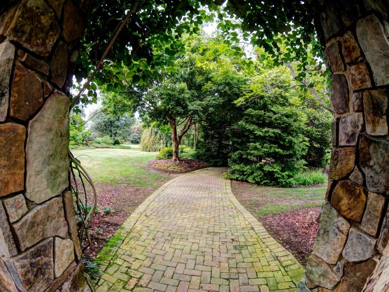 Brick Path Through Garden — Green, Serene