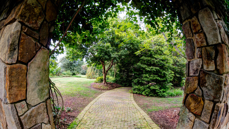 Brick Path Through Garden — Green