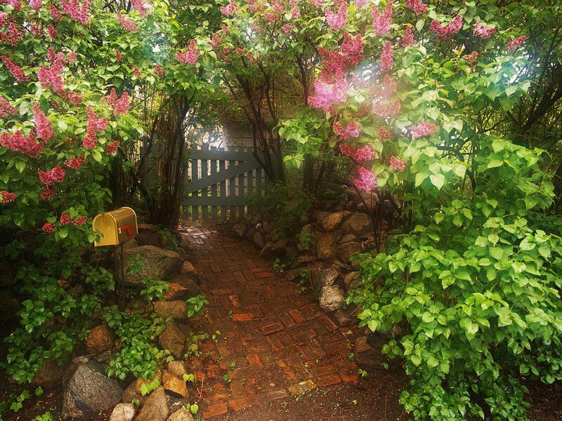 Brick Path Through Garden