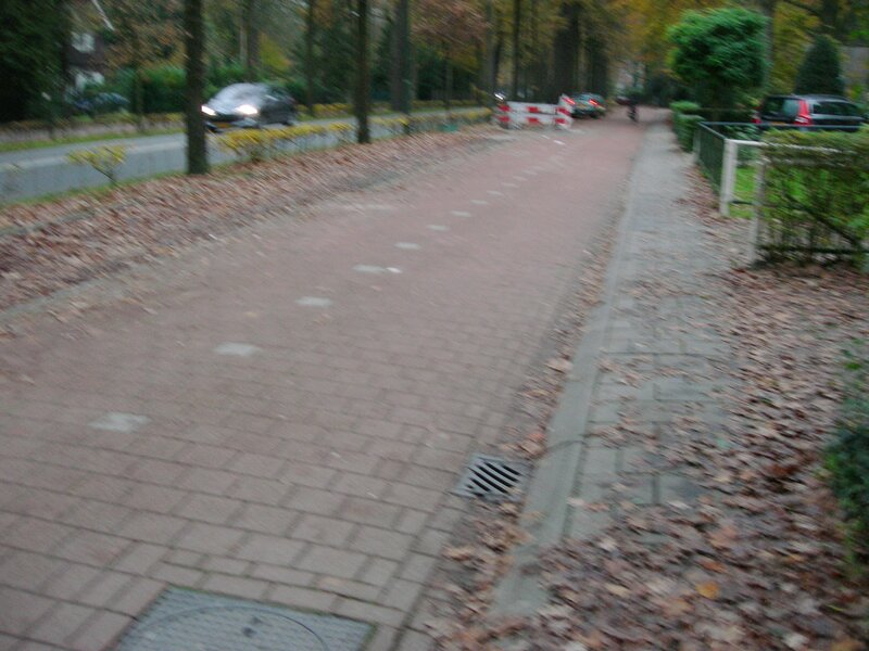 Brick Path with Fallen Leaves