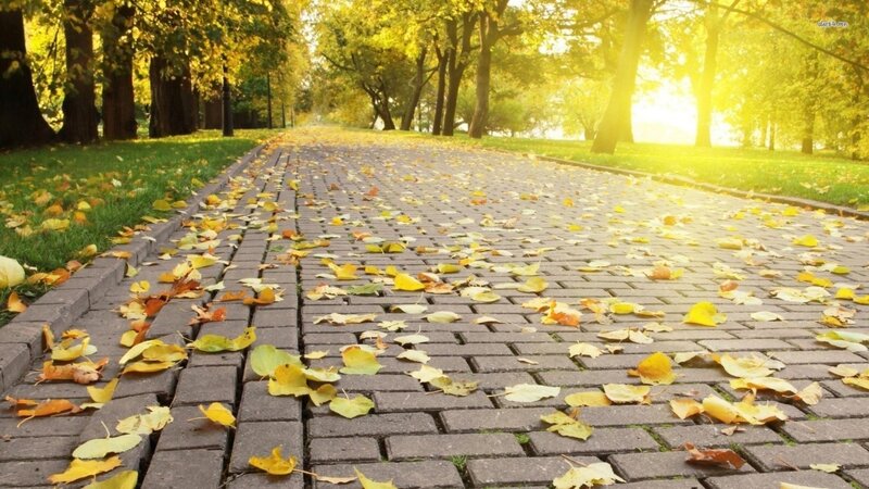 Brick Path with Leaves